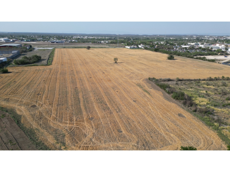 Lote de 10 hectareas acceso desde carretera , plano limpio - 3