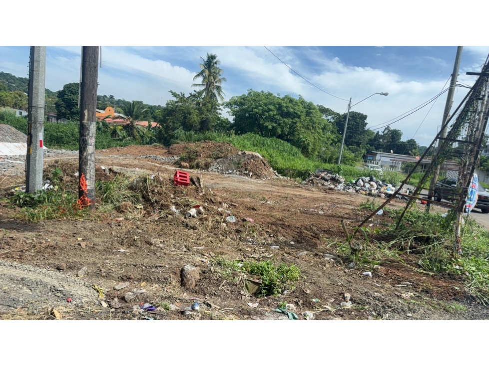 venta o alquiler de terreno de 1,200 mts en La Chorrera/ La Pesa - 5