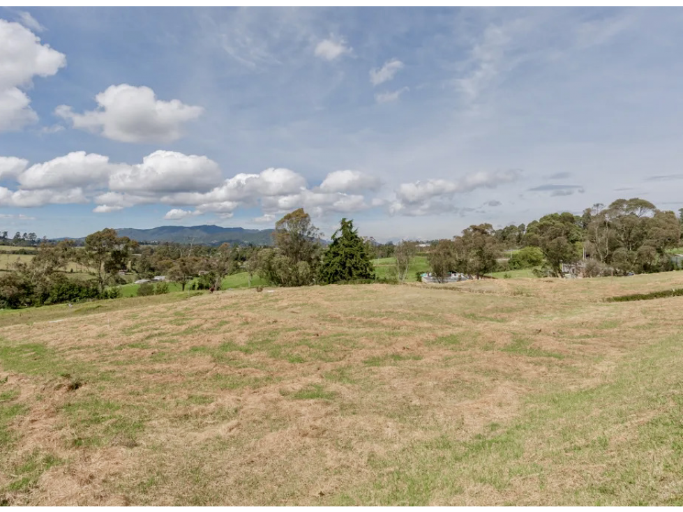 Lote BM | Alto de las Palmas