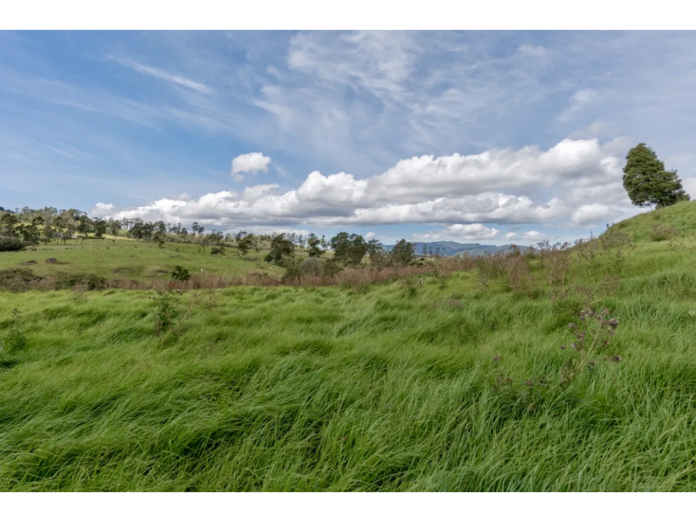 Lote BM | Alto de las Palmas