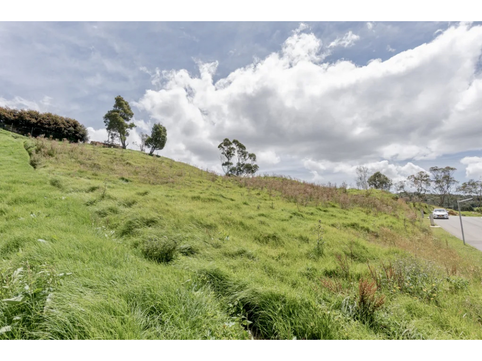 Lote BM | Alto de las Palmas