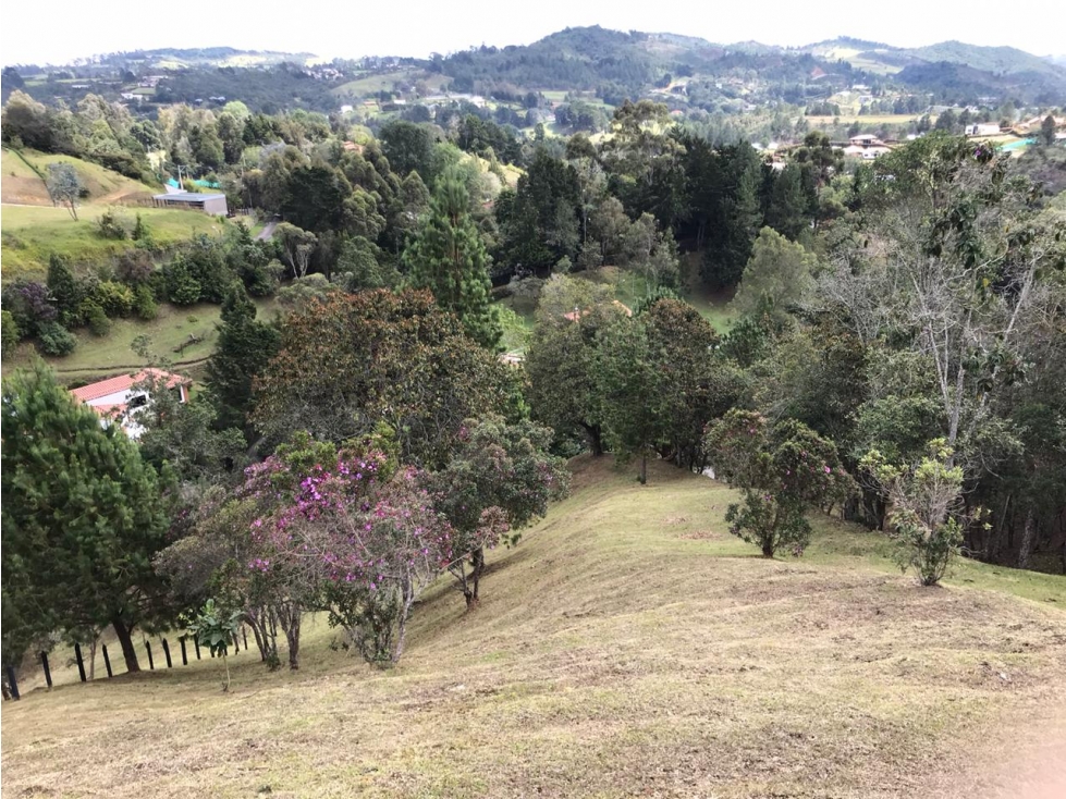 Lote Alto de las Palmas | la Esperanza