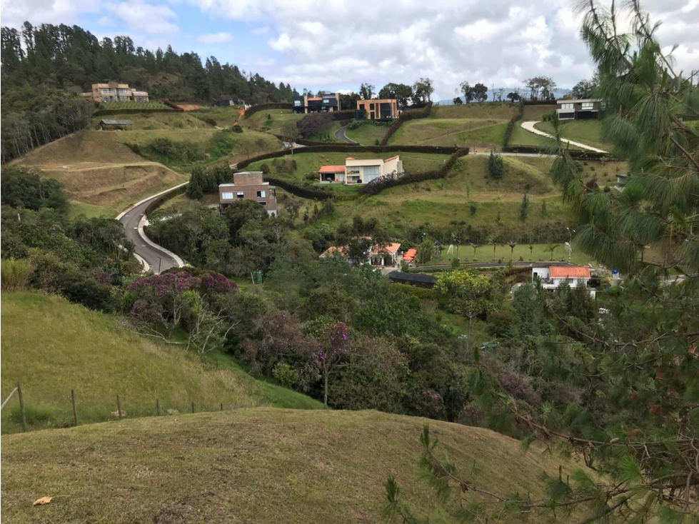 Lote Alto de las Palmas | La Esperanza