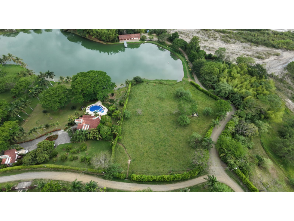 Lote | La Siria