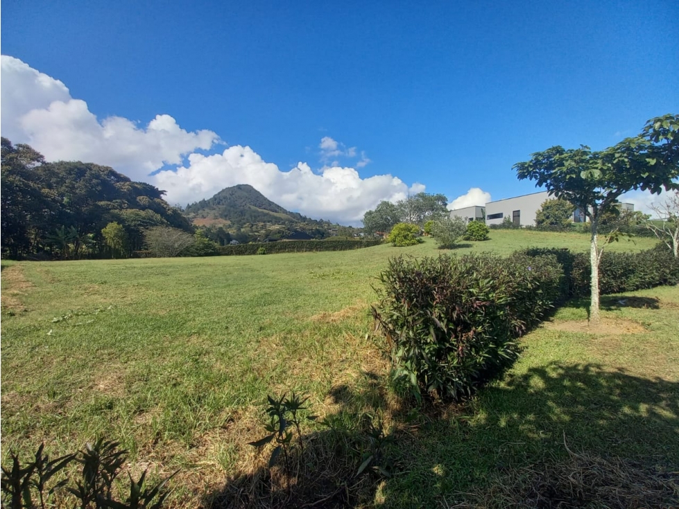 Lote MC | La Ceja