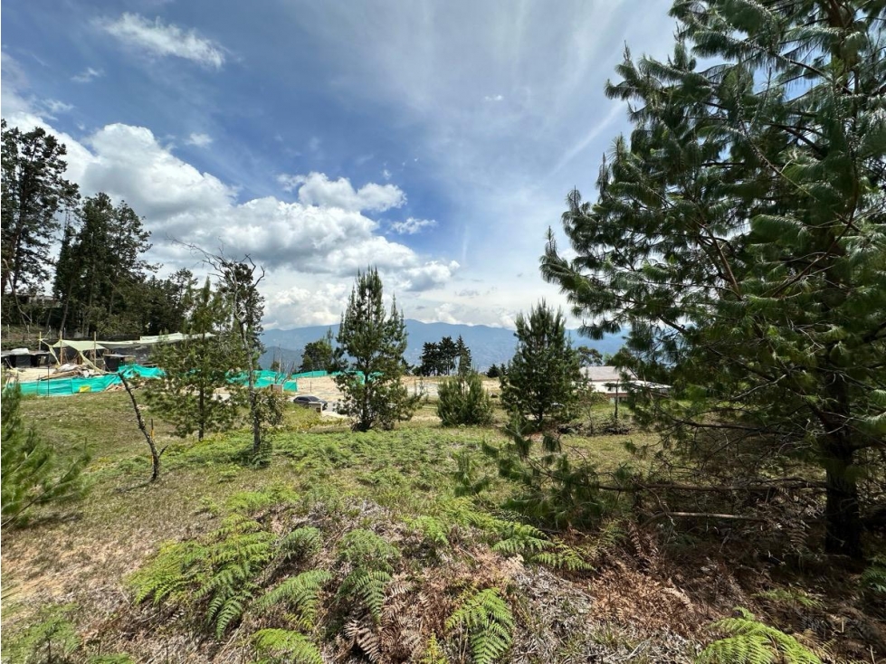 Lote Alto de las Palmas — foto 5