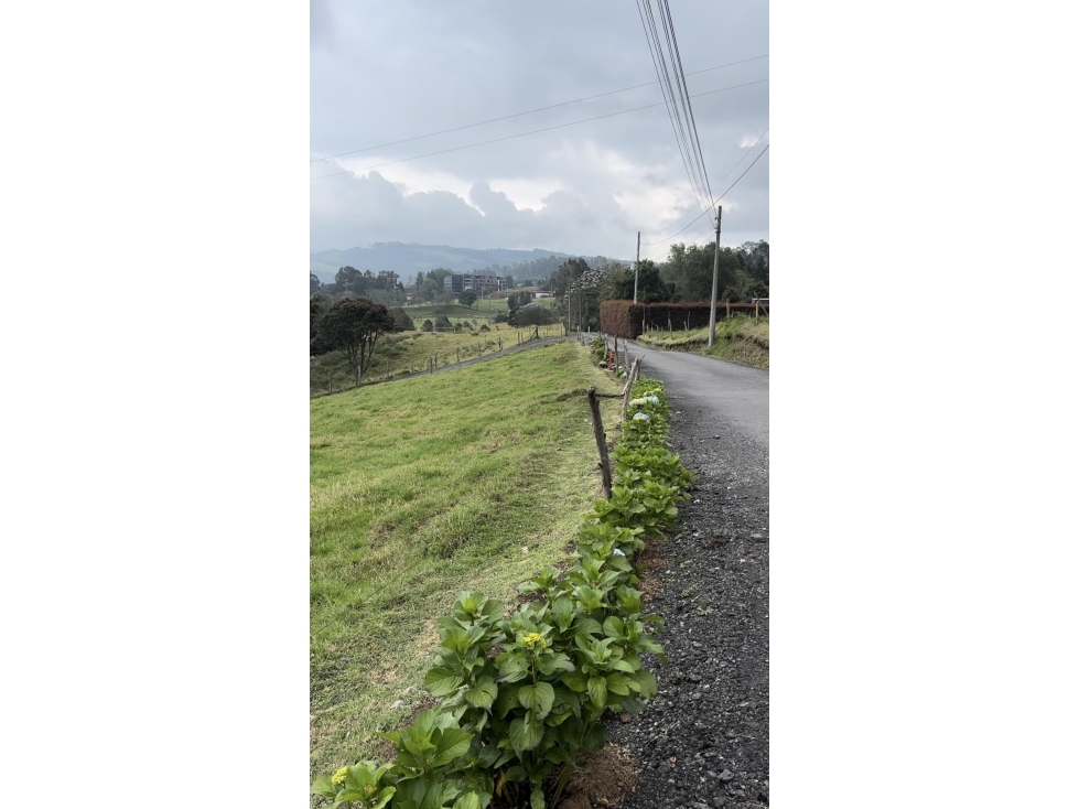 Lote Independiente en el Alto de las Palmas (L19) — foto 3