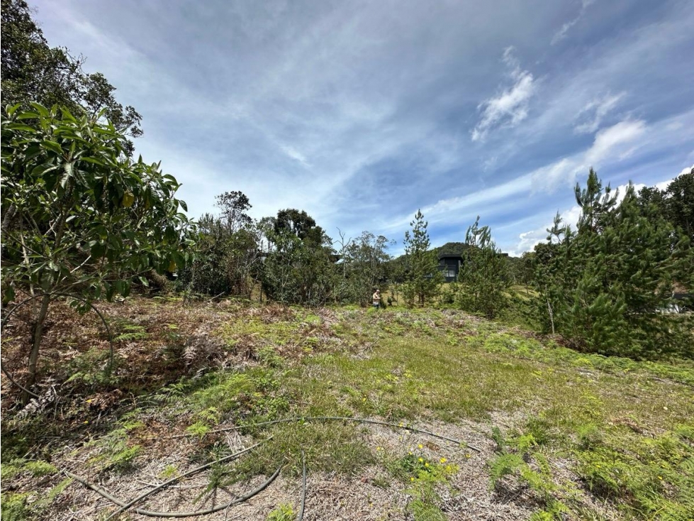 Lote Alto de las Palmas