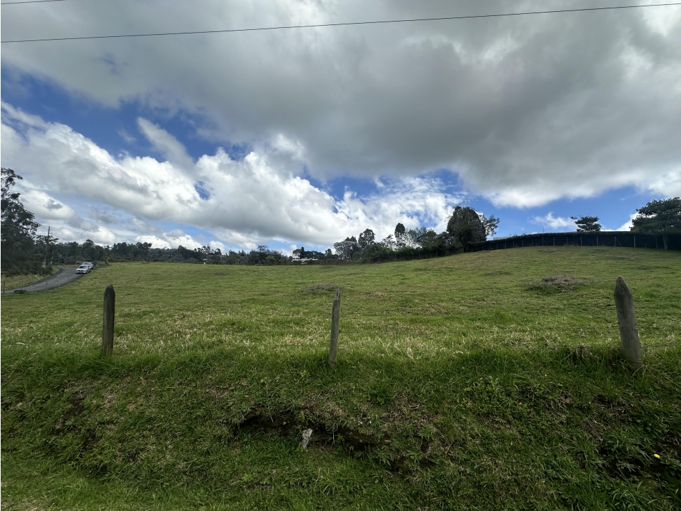 Lote Independiente en el Alto de las Palmas (L5 - P3A) — foto 3