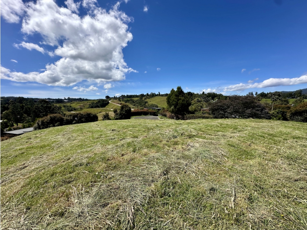 Lote BM | Alto de las Palmas MH