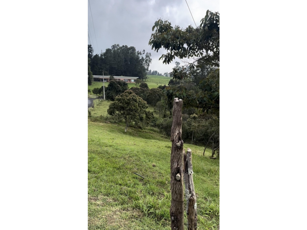 Lote Independiente en el Alto de las Palmas (L19) — foto 4