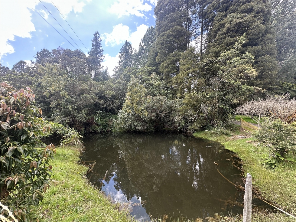 Lote Independiente en el Alto de las Palmas (L5 - P3A) — foto 6