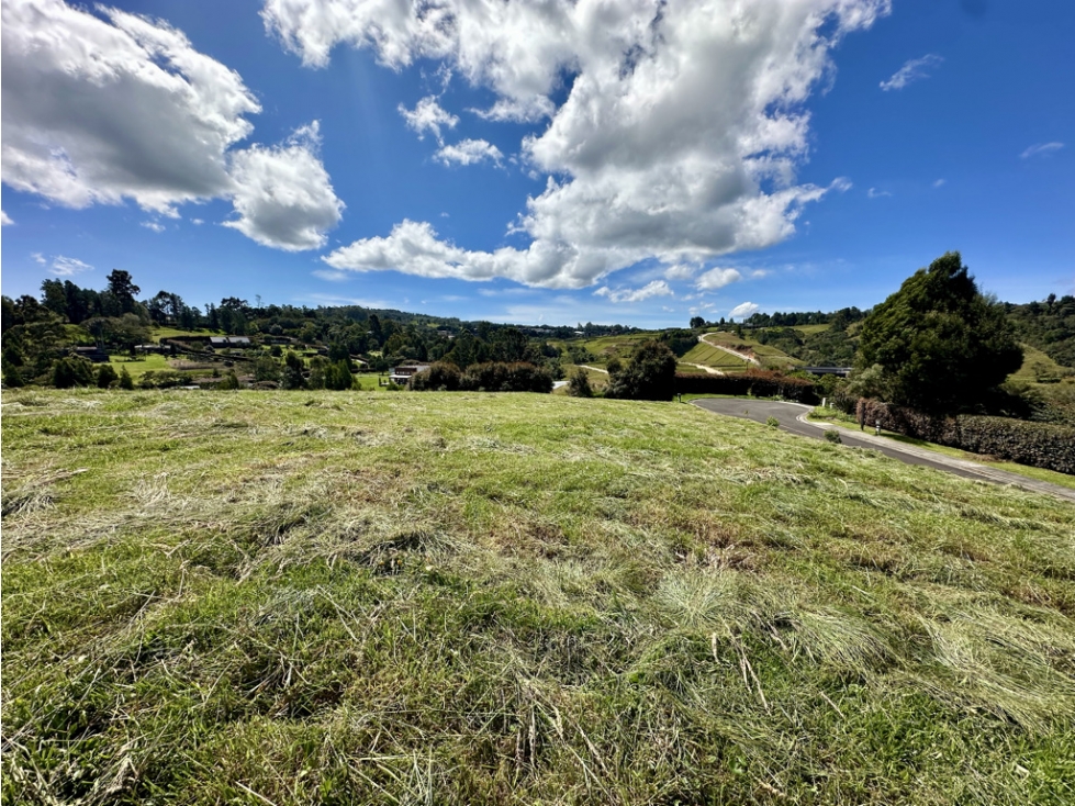 Lote BM | Alto de las Palmas MH — foto 5