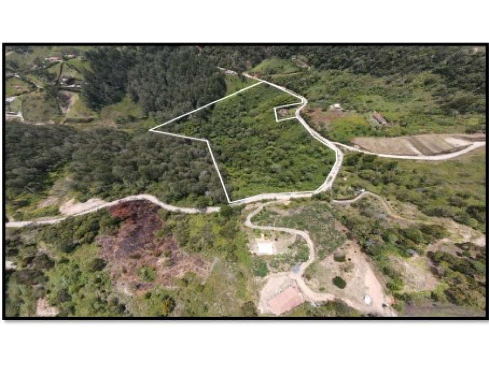 LOTE — foto 2
