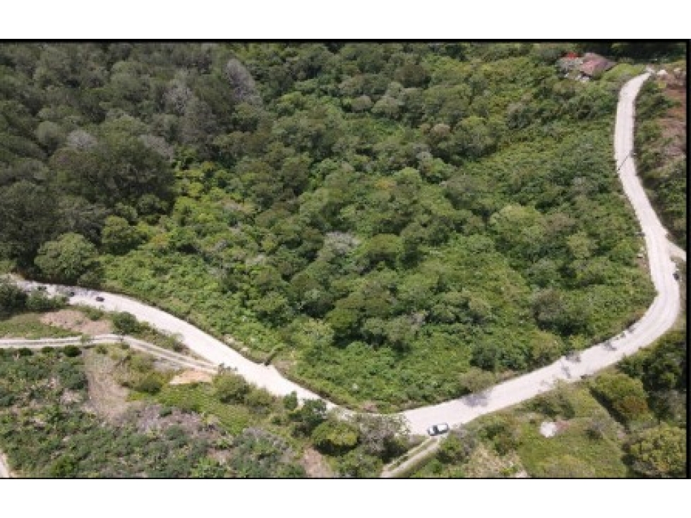 LOTE — foto 3