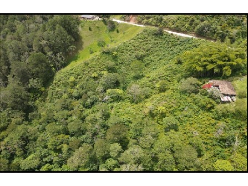 LOTE — foto 4