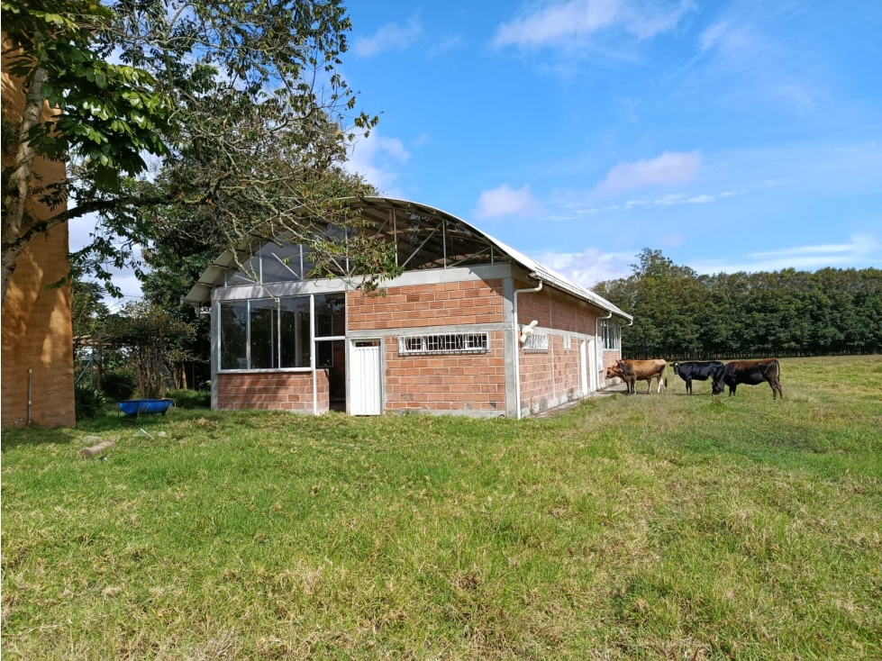 Bodega en arriendo — foto 5
