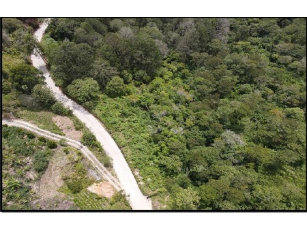 LOTE — foto 6