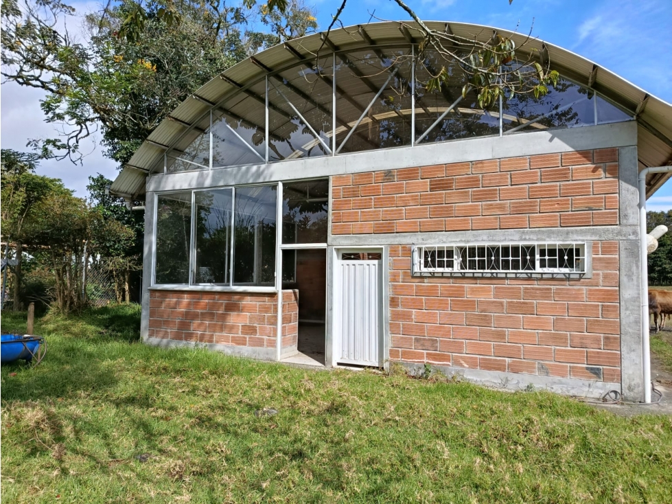 Bodega en arriendo — foto 6