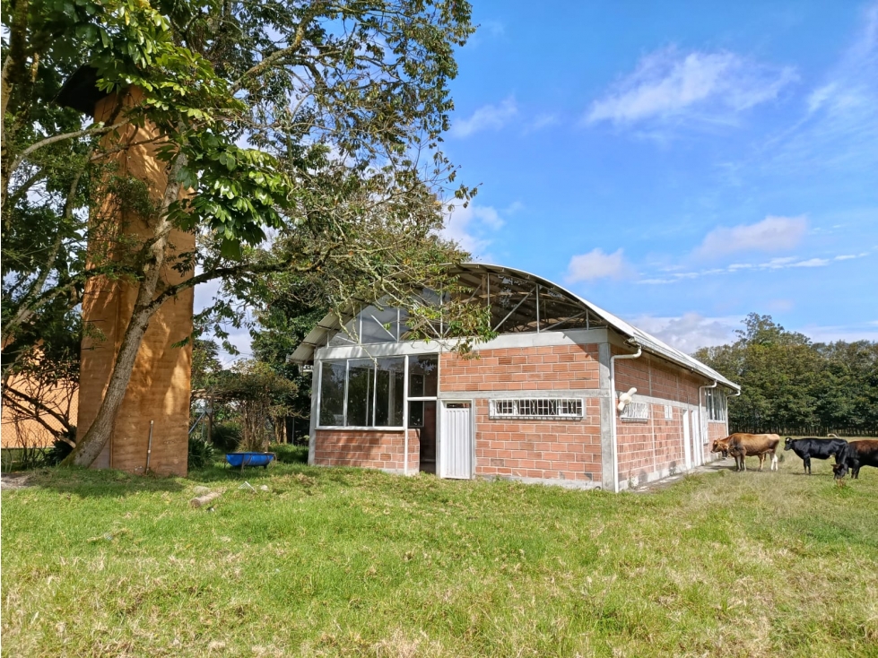 Bodega en arriendo — foto 4