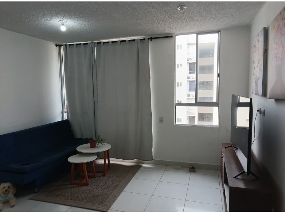 VENDO APARTAMENTO EN PARQUE HEREDIA - CONJ CARACOLI — foto 2
