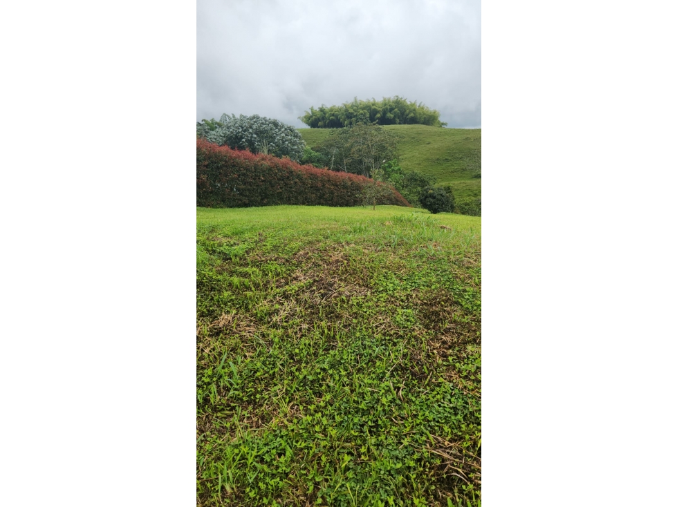 VENDO LOTE CONDOMINIO EN PEREIRA VEREDA JORDAN ML9758956 — foto 2