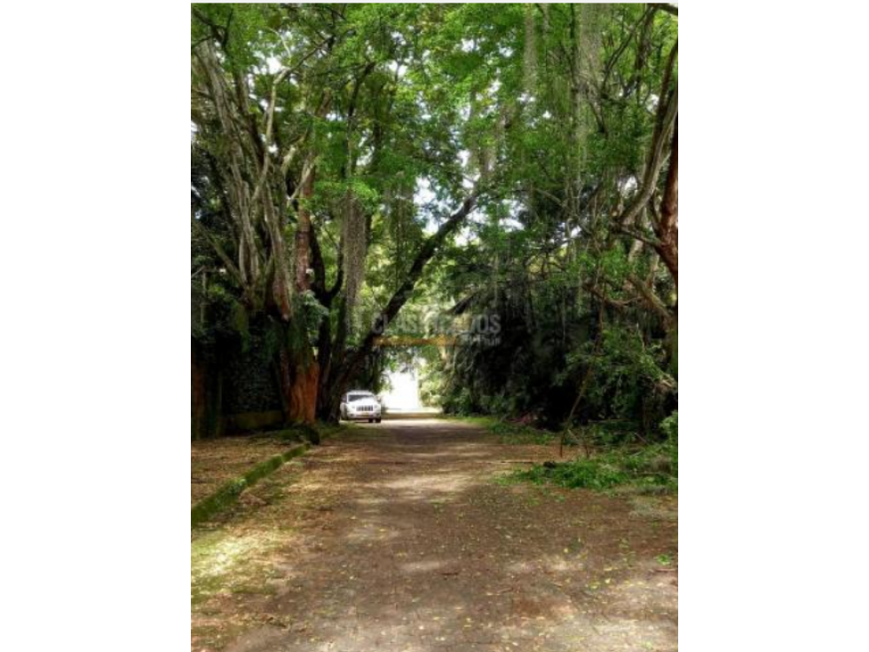 SE VENDE LOTE EN PANCE CALI IC10328348 — foto 3