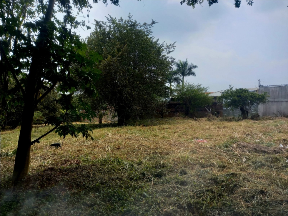 SE VENDE LOTE EN PANCE CALI IC10328348