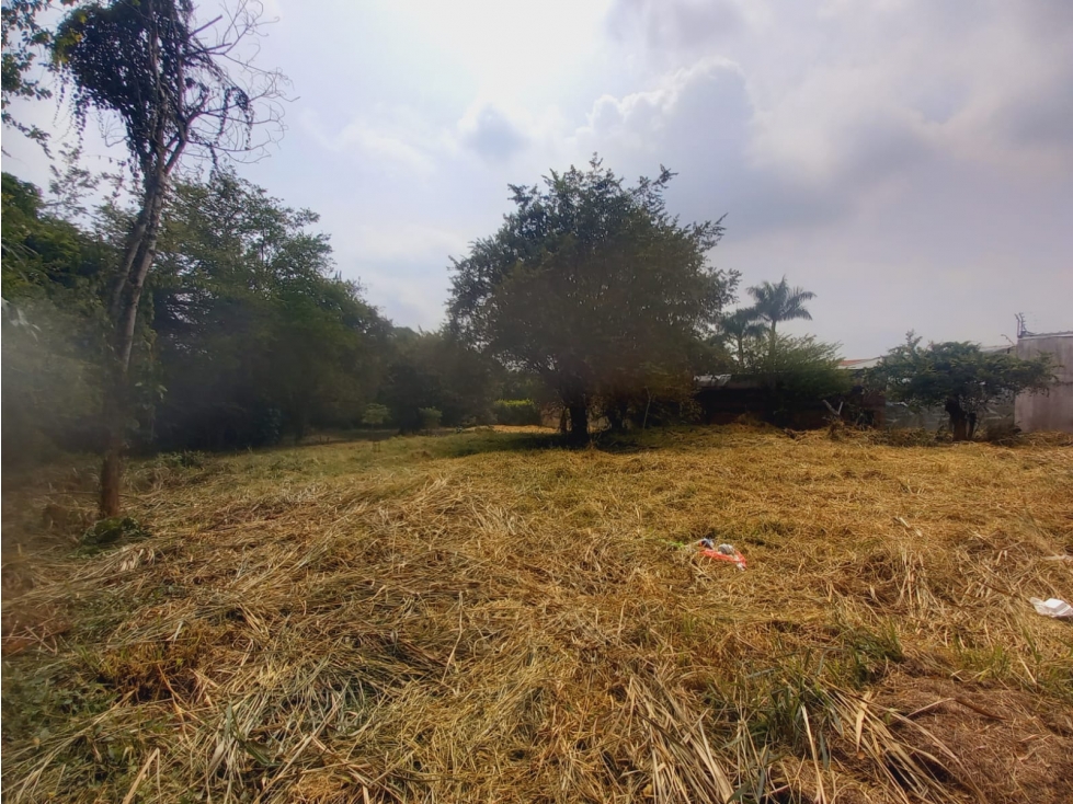 SE VENDE LOTE EN PANCE CALI IC10328348 — foto 5