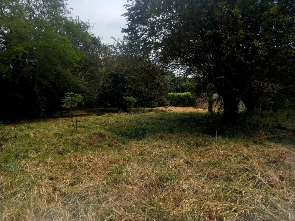 SE VENDE LOTE EN PANCE CALI IC10328348 — foto 6