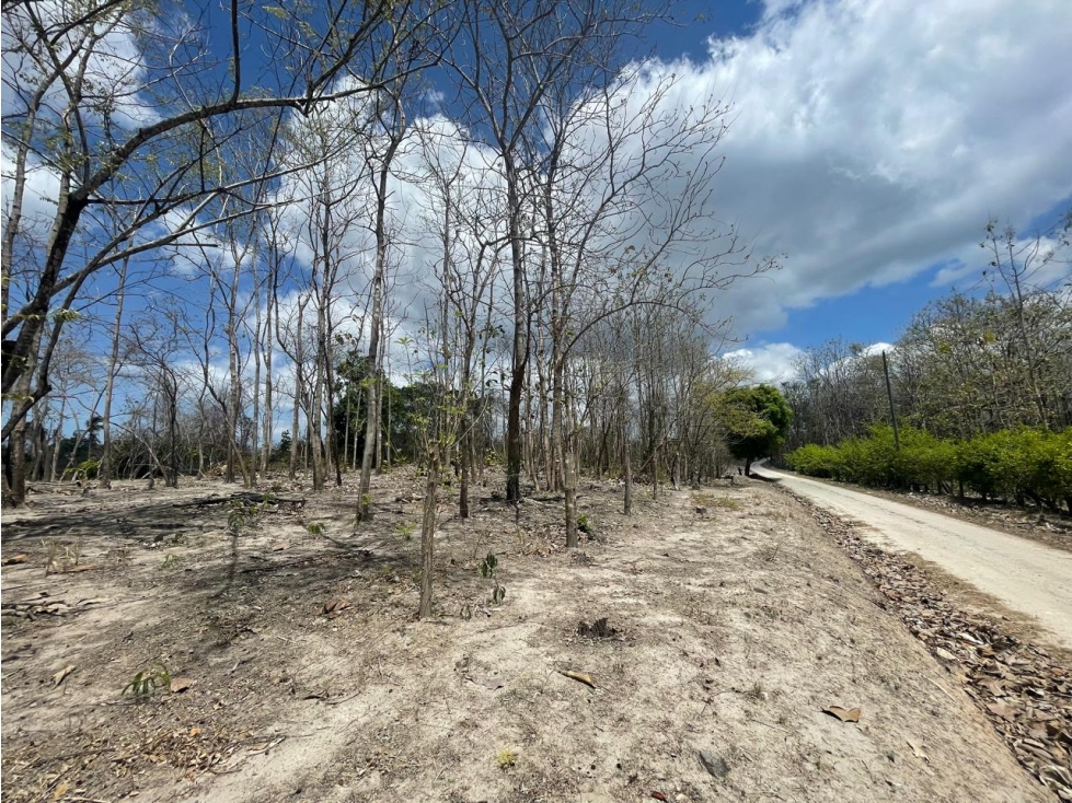 Se Vende Terreno en San Carlos Mata Palo — foto 2