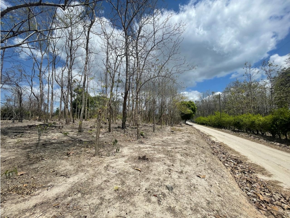 Se Vende Terreno en San Carlos Mata Palo — foto 5