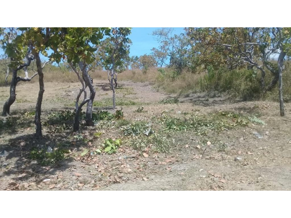 Se Vende terreno en Rio Mar, San Carlos — foto 5