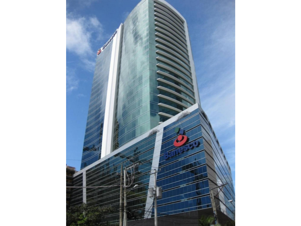 Alquiler Marbella - Coworking Torre Banesco - SP