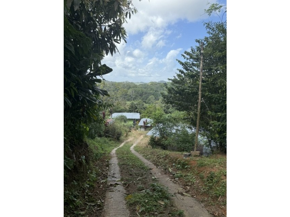 Venta de Finca - Quebrada Ancha Las Cumbres - AR - 2
