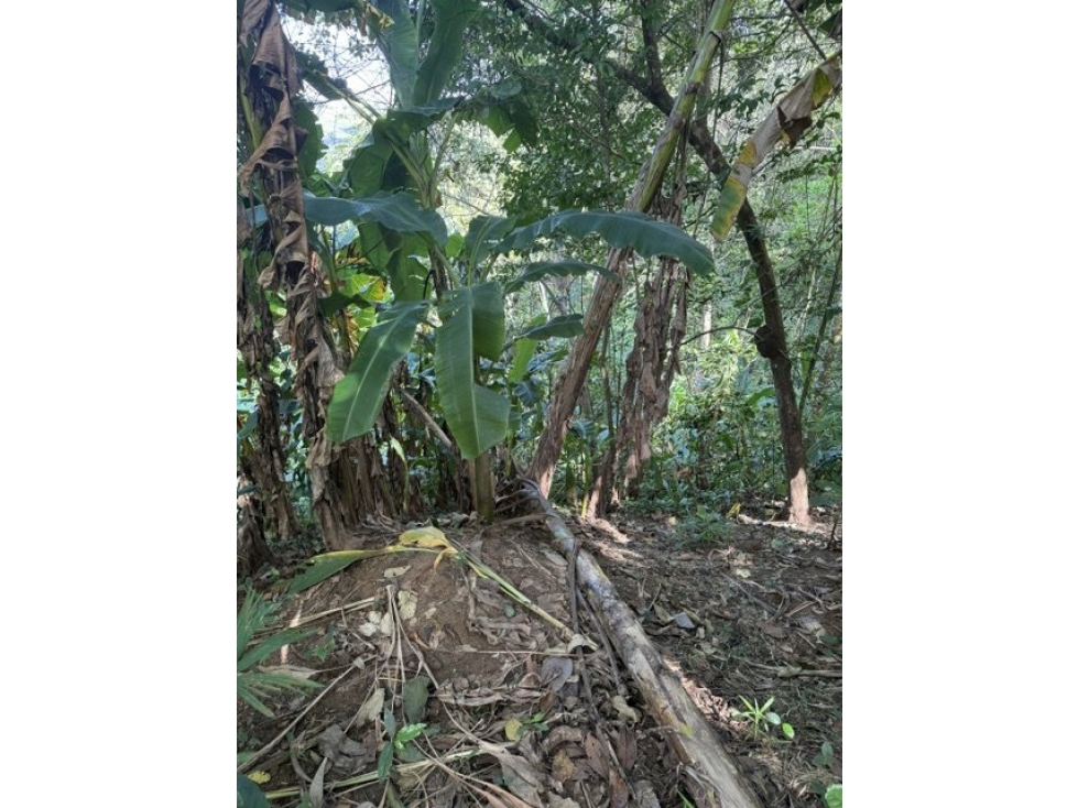 Venta de Finca - Quebrada Ancha Las Cumbres - AR - 4