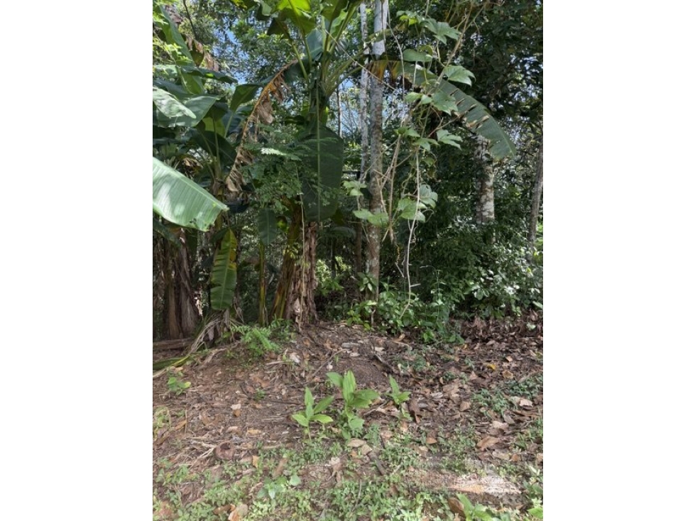 Venta de Finca - Quebrada Ancha Las Cumbres - AR - 5