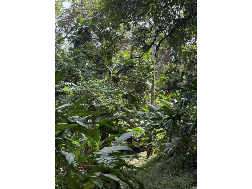 Venta de Finca - Quebrada Ancha Las Cumbres - AR - 6