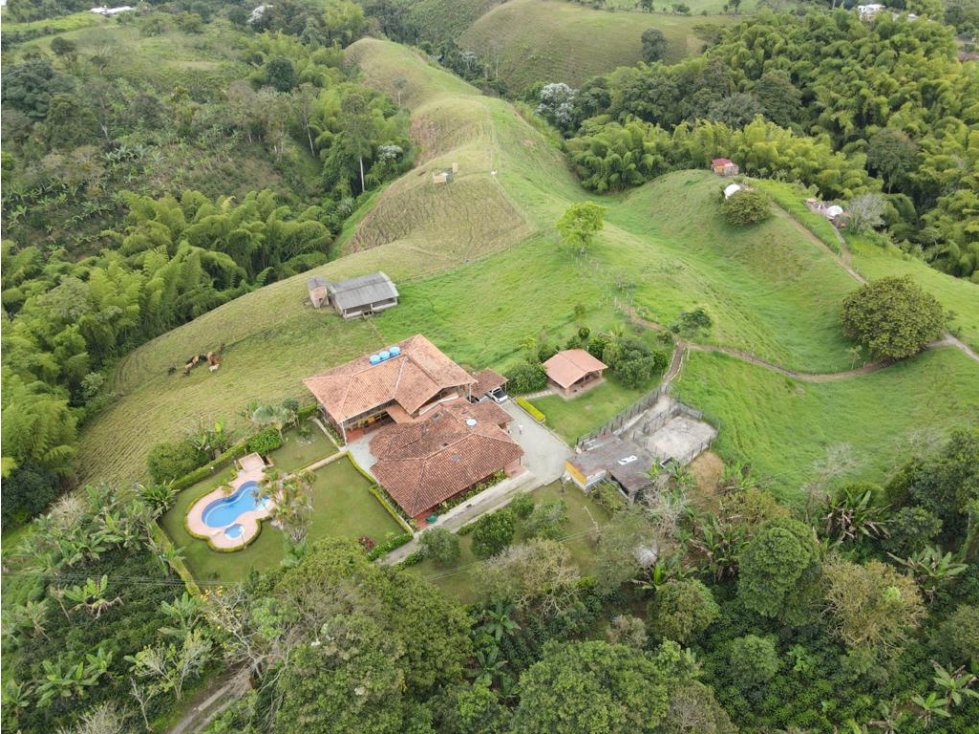 SE VENDE FINCA VÍA MONTENEGRO - CIRCASIA, QUINDÍO — foto 3