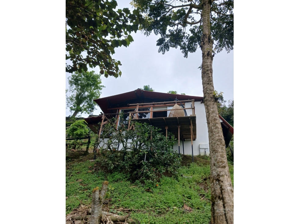 SE VENDE FINCA - HOTEL VÍA PEREIRA - RISARALDA