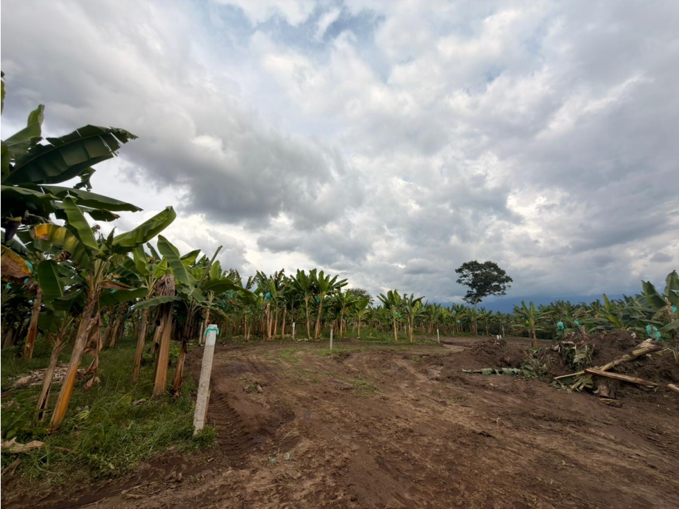 SE VENDEN CASAS CAMPESTRES EN PROYECTO CERCA AL CLUB CAMPESTRE — foto 6