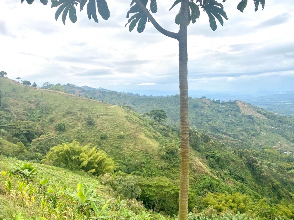 SE VENDE O PERMUTA LOTE EN CORDOBA, QUINDIO - 2