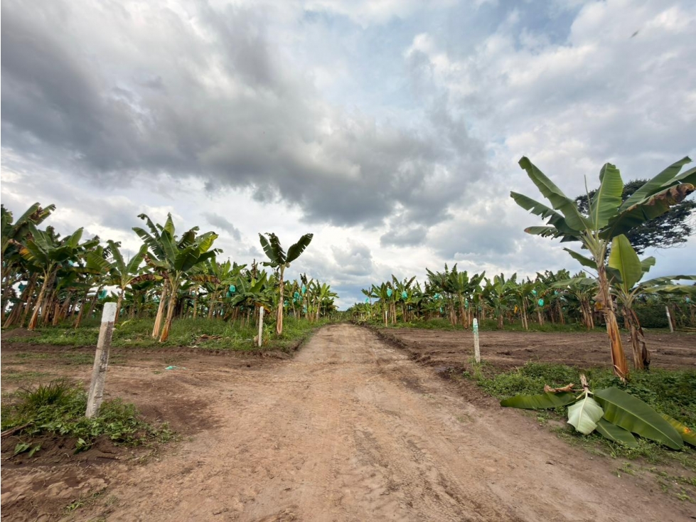 SE VENDEN CASAS CAMPESTRES EN PROYECTO CERCA AL CLUB CAMPESTRE — foto 2