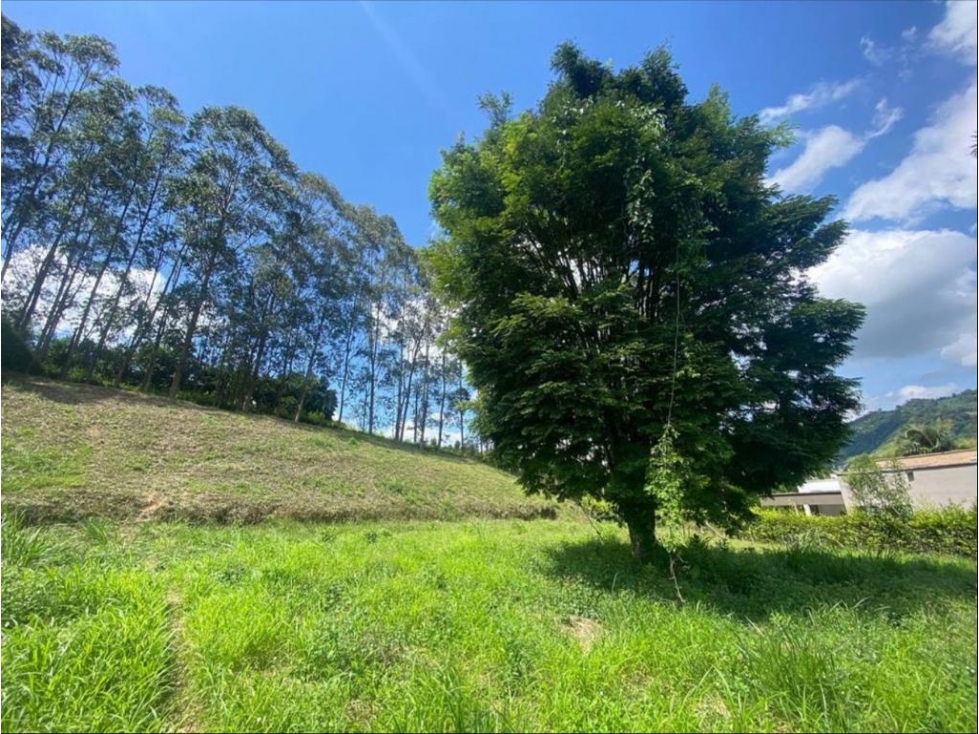 SE VENDE LOTE EN CONDOMINIO PEREIRA, RISARALDA — foto 3
