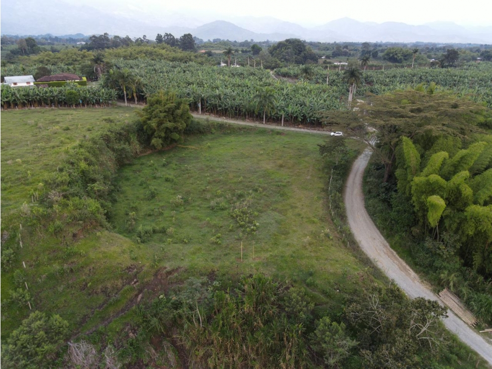 SE VENDE LOTE PARA USO INDUSTRIAL VÍA ARMENIA TEBAIDA — foto 3