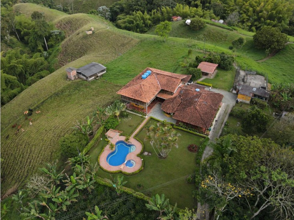 SE VENDE FINCA VÍA MONTENEGRO - CIRCASIA, QUINDÍO — foto 6