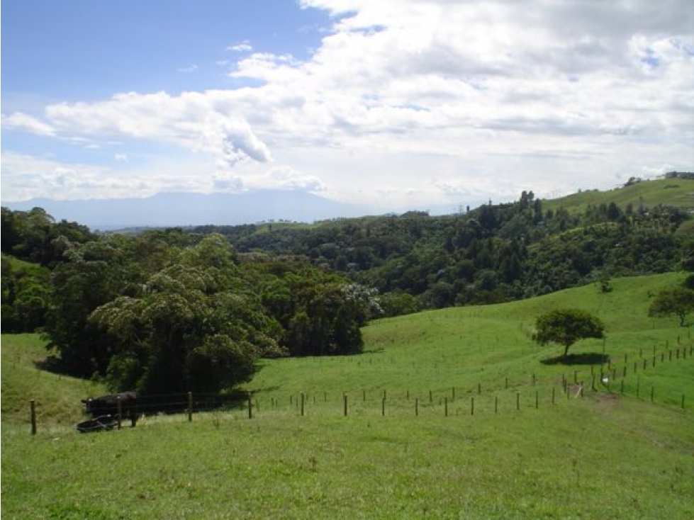 SE VENDE LOTE EN FILANDIA, QUINDIO - 3