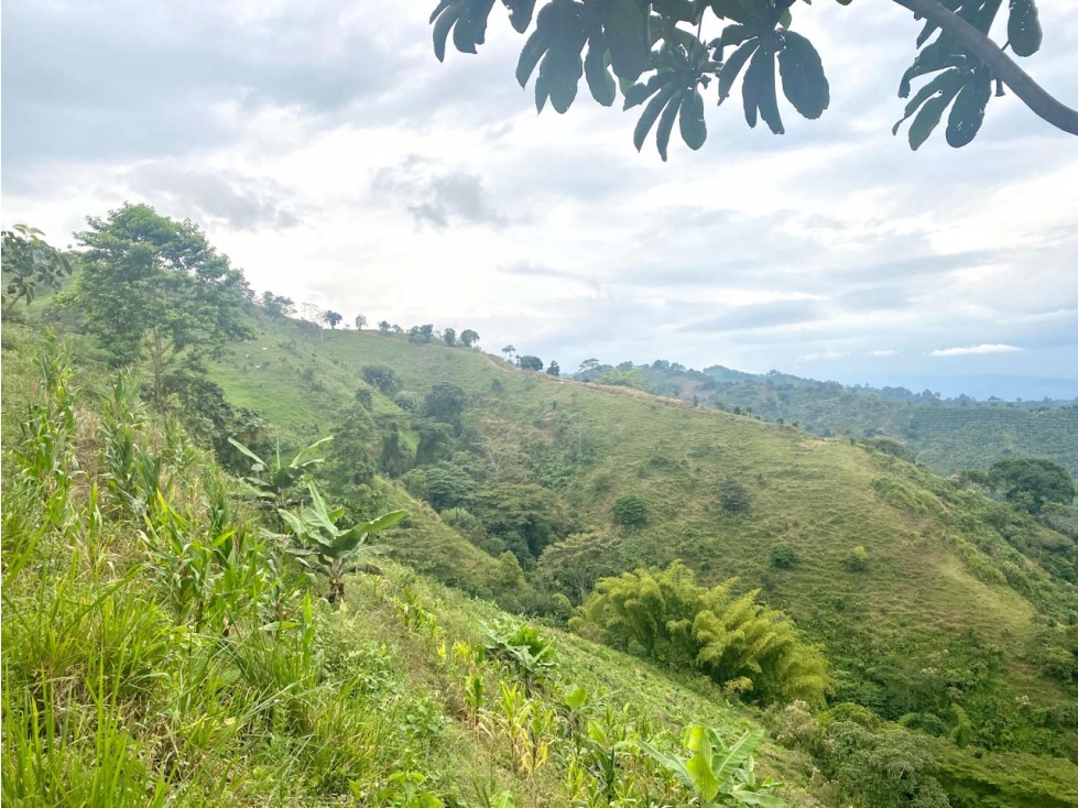 SE VENDE O PERMUTA LOTE EN CORDOBA, QUINDIO - 6
