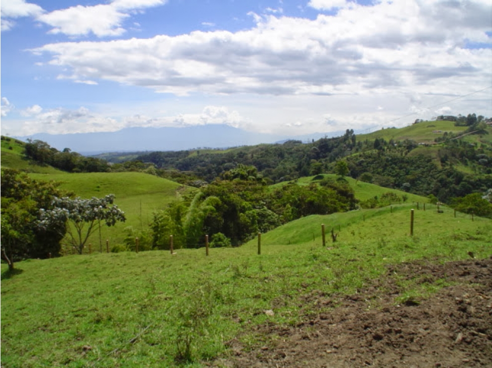 SE VENDE LOTE EN FILANDIA, QUINDIO - 5