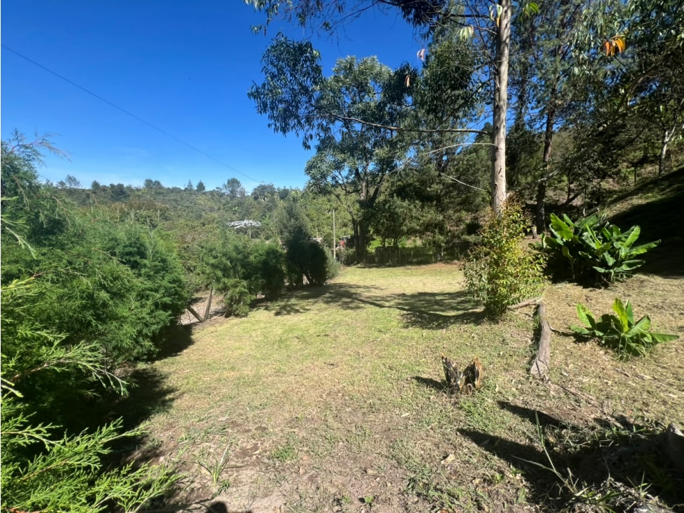 Finca campestre con amplio lote en Guarne